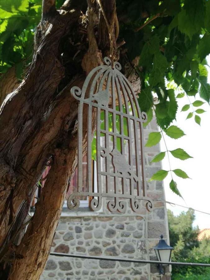 Μαχη Ενοικιαζόμενα Δωμάτια Mithimna Exterior foto